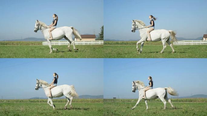 慢动作: 年轻女子与她美丽的白马一起露背奔跑