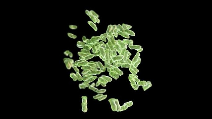 细菌生长，美丽的3d动画