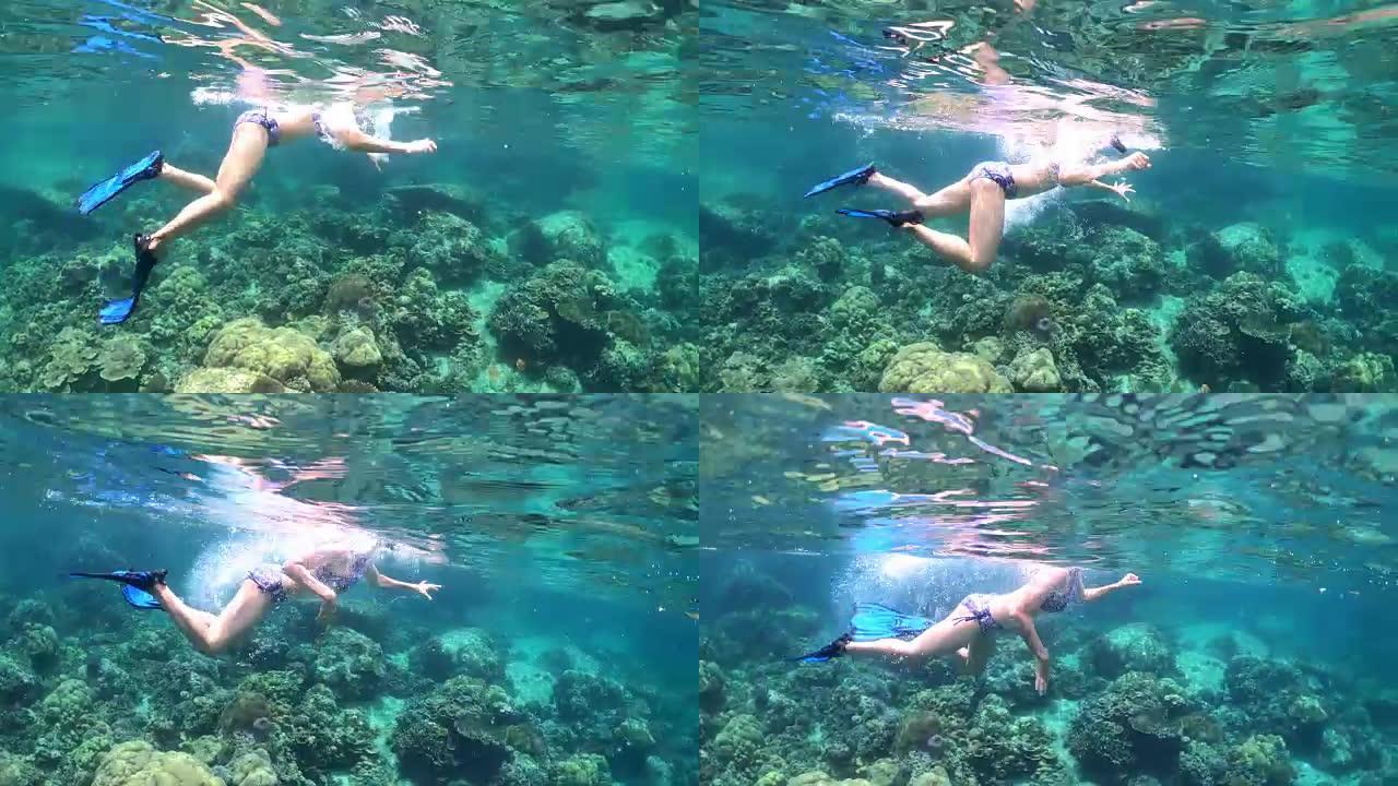 水下，五十五岁，以下/以上:: 穿着比基尼的女人与热带鱼一起浮潜异国珊瑚礁