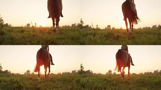 低角度视角: 强大的棕色马与年轻的骑手走进金色的日落