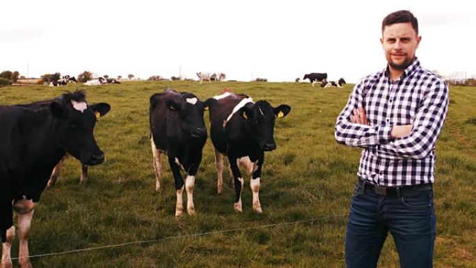 男人站在田野里与一群牛站在一起