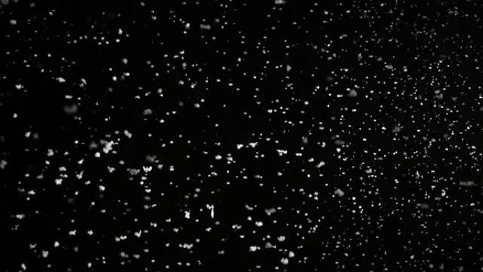 暴风雨的天气，下雪，黑色背景上孤立的大雪花。易于在混合/叠加模式下使用的真实镜头光斑。
