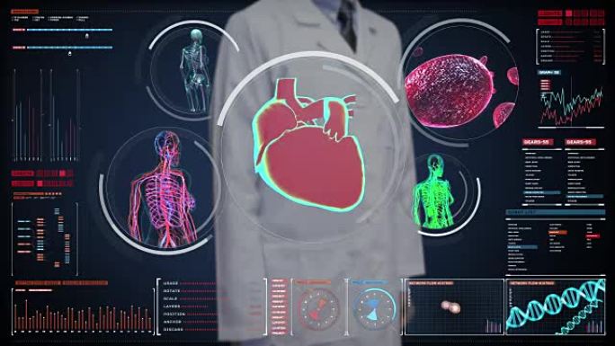 医生触摸数字屏幕，女性身体扫描血管，淋巴，心脏，循环系统在数字显示仪表板。蓝色x射线视图。