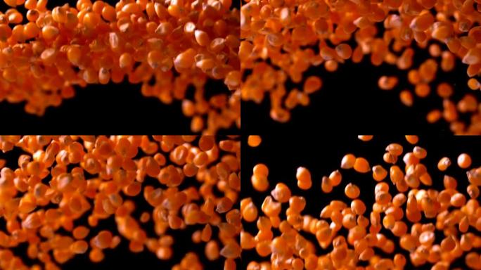 爆米花在黑色背景下弹跳