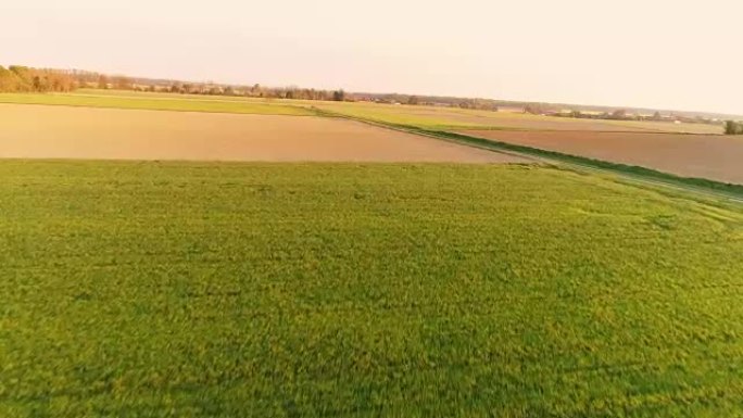 无人机的观点农民走在广阔，阳光明媚的田园诗般的绿色麦田里，慢动作