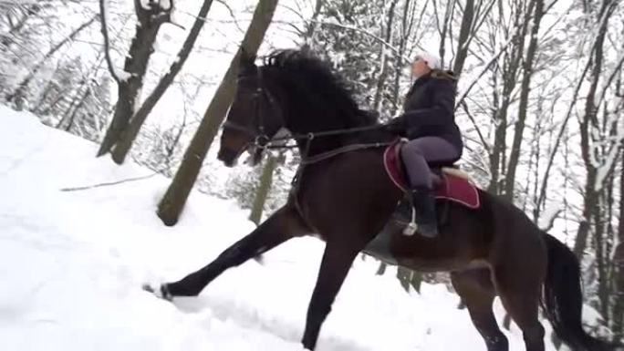 慢动作: 女人和她的马在新鲜的雪中慢跑