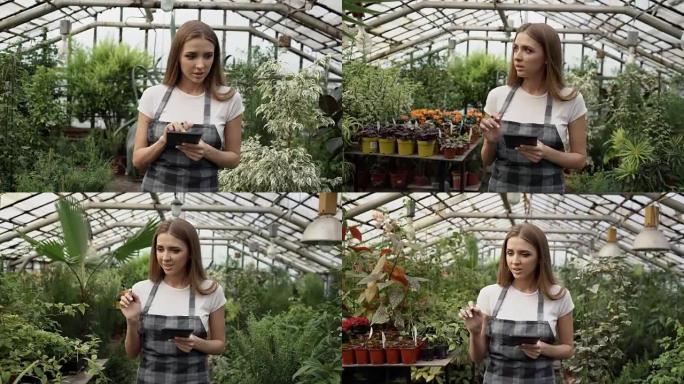 多莉拍摄了在花园中心工作的年轻女子。迷人的女孩在温室工作期间使用平板电脑检查和计数花朵