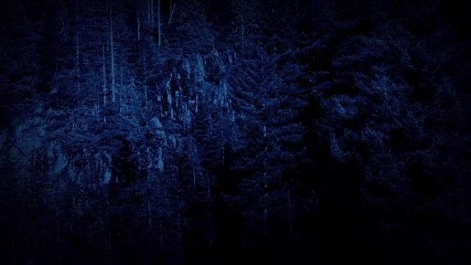 夜间飞越森林中的悬崖