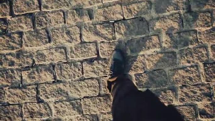 穿着鞋子的男人在历史古代人行道上行走的俯视图视点