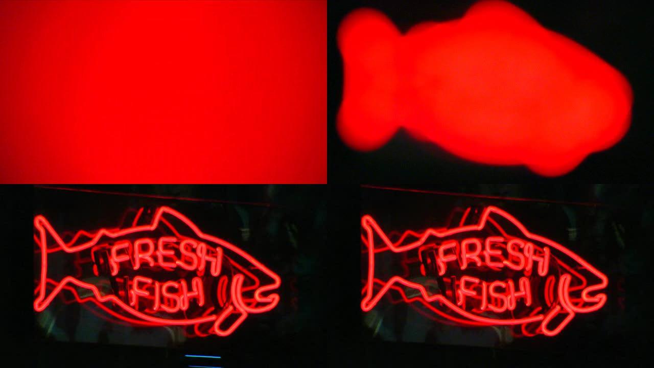 鲜鱼霓虹灯标志（1080/24P）