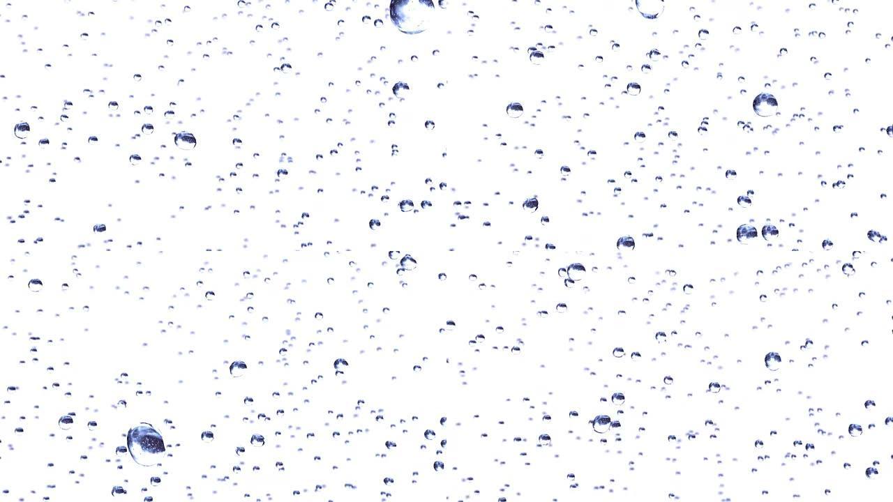 白色背景上循环动画中的雨滴。高清1080。
