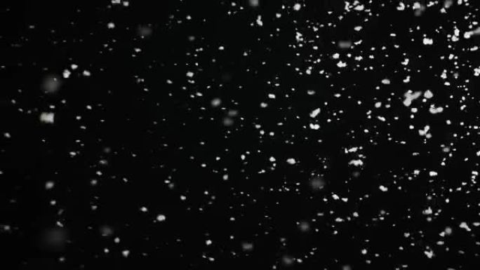 慢慢落下的蓬松雪花孤立在循环的黑色背景上。易于在混合/叠加模式下使用的真实镜头光斑。