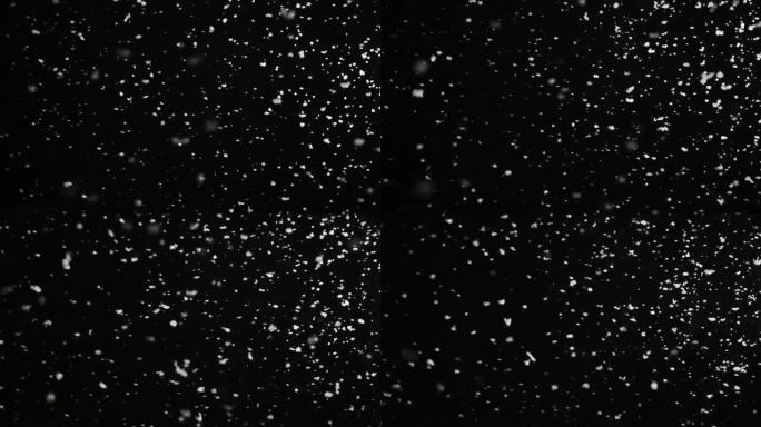 慢慢落下的蓬松雪花孤立在循环的黑色背景上。易于在混合/叠加模式下使用的真实镜头光斑。