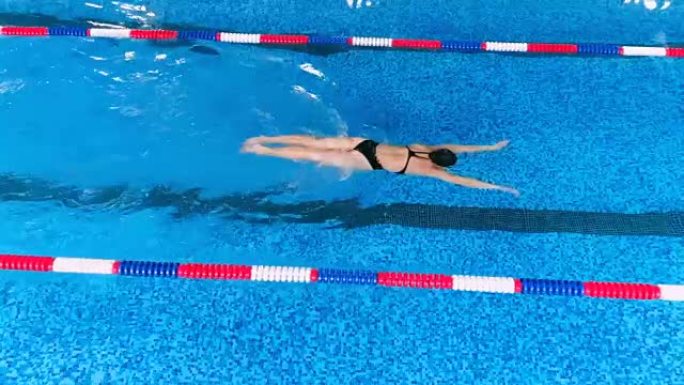 游泳池里的专业游泳运动员。慢动作。