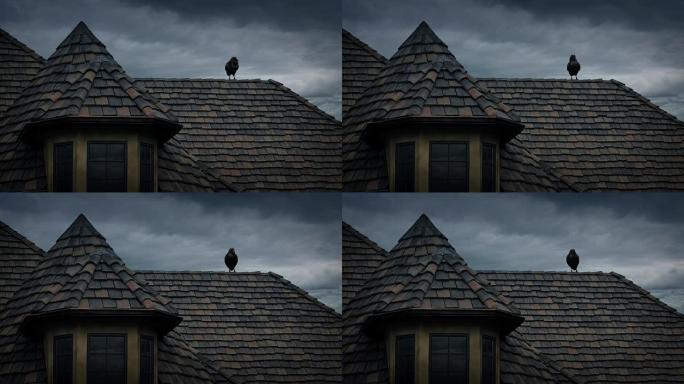 老房子屋顶上的乌鸦