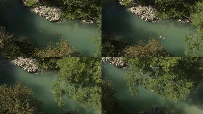 空中: 年轻女子在旷野的绿河中游泳青蛙式技术