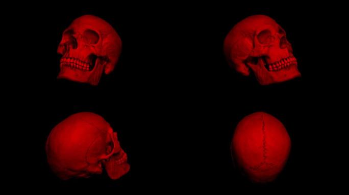 红色成人头骨旋转环