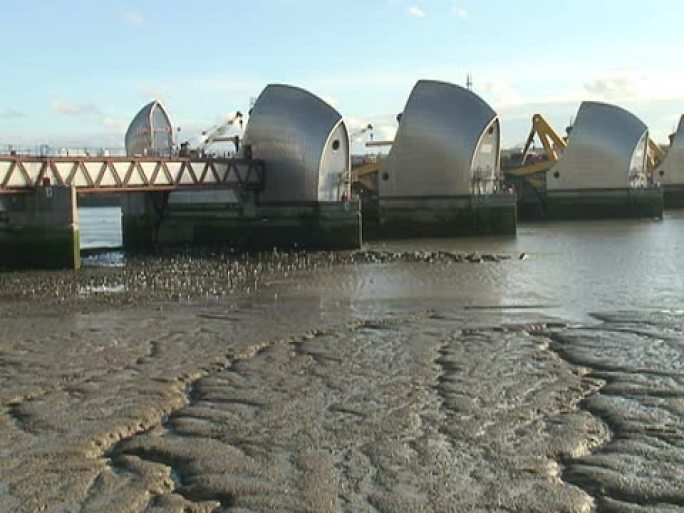 伦敦：泰晤士河防洪堤，向海鸟推进