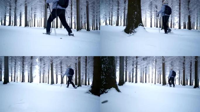 Beautiful female hiker walking in winter forest