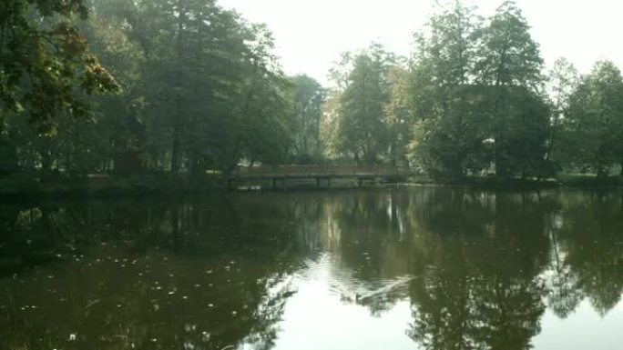 公园里被树木环绕的池塘