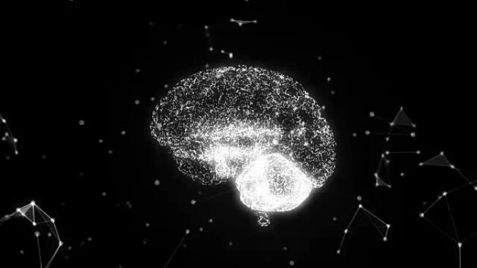 人类大脑是由旋转粒子形成的。