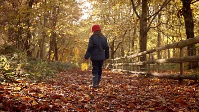 年轻女孩沿着秋天的乡村漫步