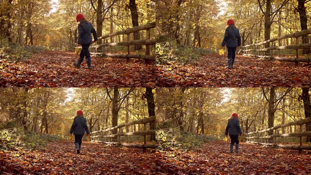 年轻女孩沿着秋天的乡村漫步