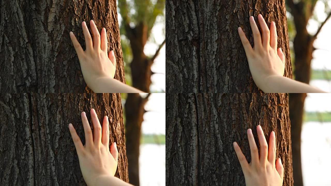 手触摸树的特写