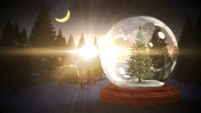 雪球内的圣诞树，带有法语的魔术问候