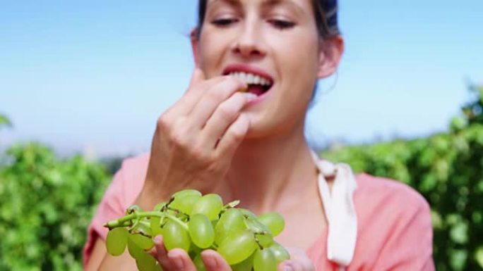 在葡萄园吃葡萄的幸福女人的肖像