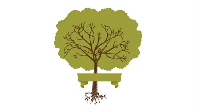生态设计与树，视频动画