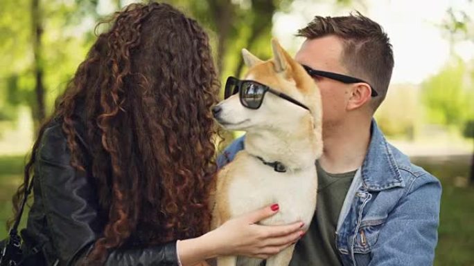 骄傲的主人给可爱的柴犬小狗戴上墨镜，夏天在城市公园里笑着聊天放松。人、动物、自然和有趣的概念。