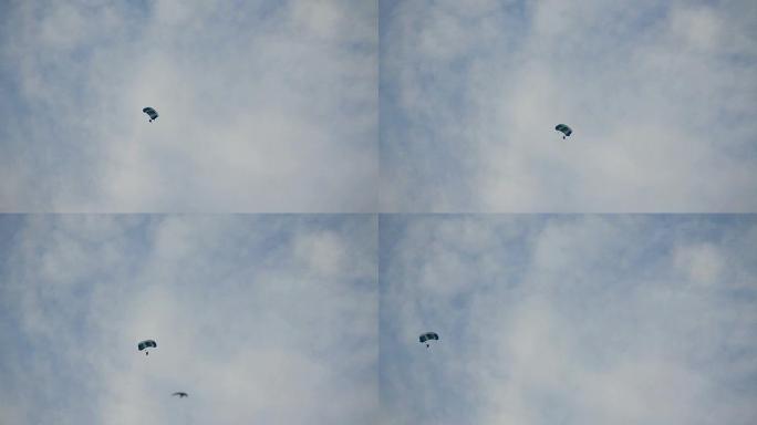 在蓝天白云中跳伞。