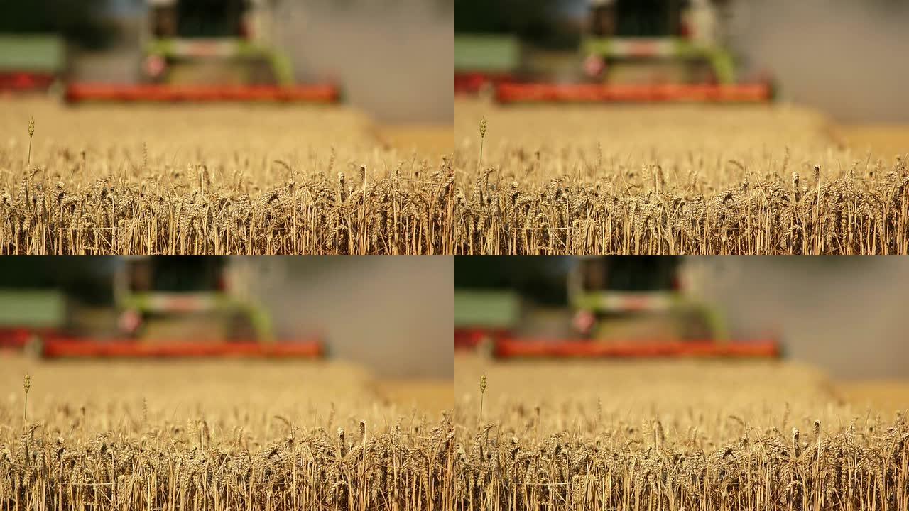 HD联合收割机收割麦田