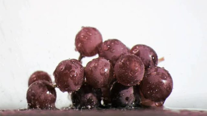 紫色葡萄在超级慢动作接收雨滴