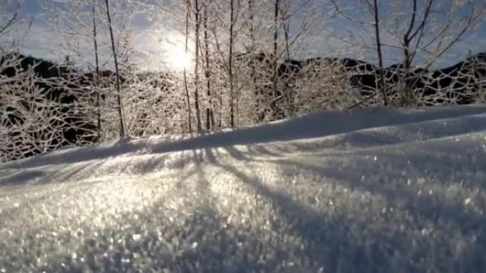 阳光透过冰冻的树木。山里的日出。万向节稳定射击