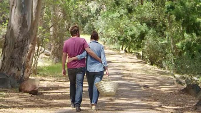 浪漫情侣沿着森林小径徒步旅行的后视图