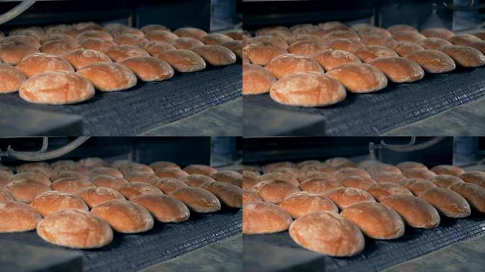 食品加工厂。新鲜面包从烤箱里出来。