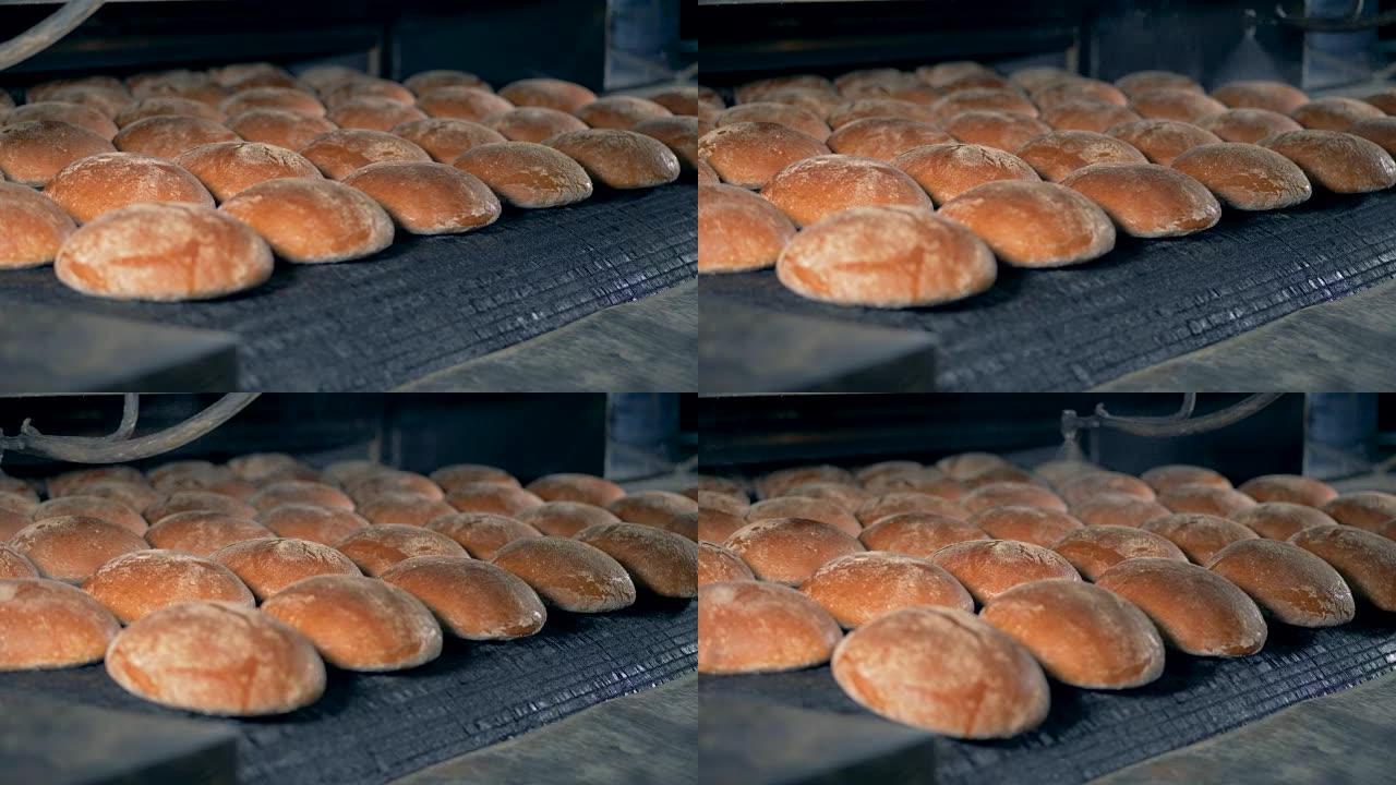 食品加工厂。新鲜面包从烤箱里出来。