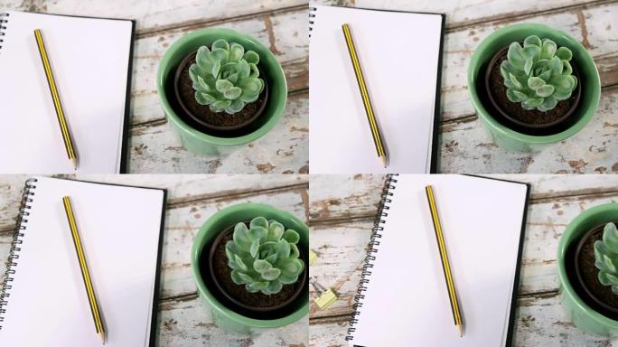 芦荟植物，带铅笔和活页夹的日记