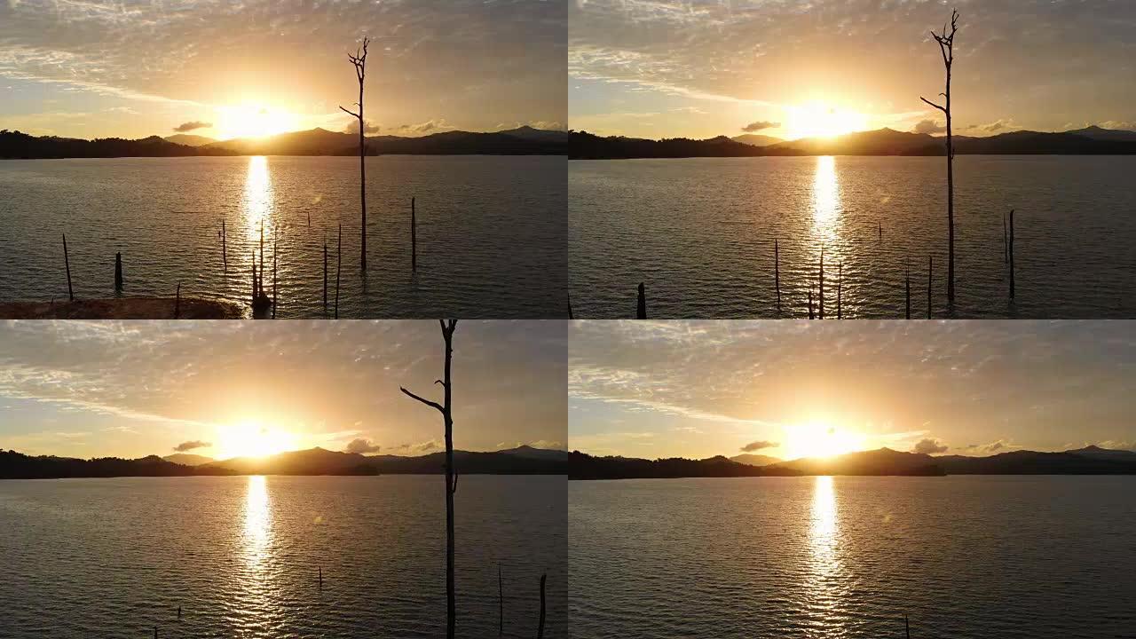 4k dolly拍摄日落时湖中树木死亡的照片。