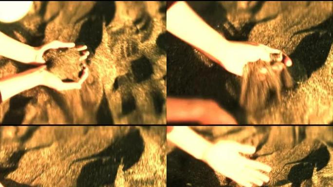 女人的手在夏天捡沙子（NTSC）