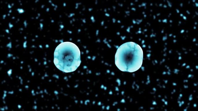 二元裂变透明细胞分裂3D蓝色运动图形视频