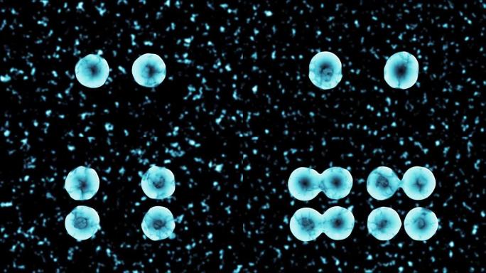 二元裂变透明细胞分裂3D蓝色运动图形视频