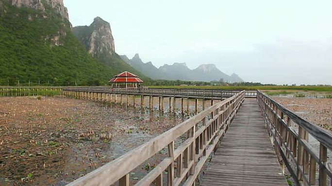 莲花湖园林建设荒草地草地