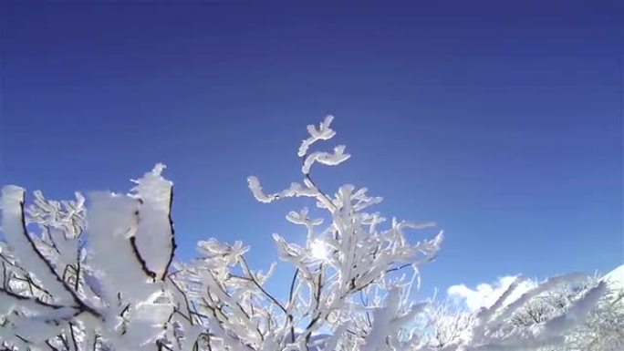 阳光明媚的白雪皑皑的大自然