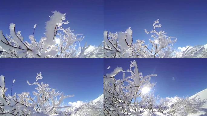 阳光明媚的白雪皑皑的大自然