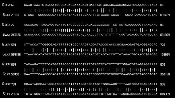 DNA测序TACG