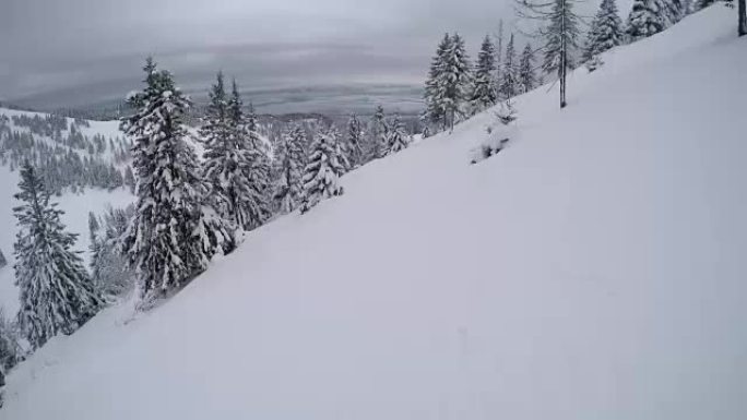 FPV: 自由滑雪者骑着粉末雪穿过雪山森林