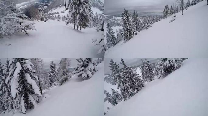 FPV: 自由滑雪者骑着粉末雪穿过雪山森林